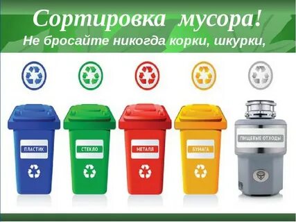 Цвет контейнеров для раздельного