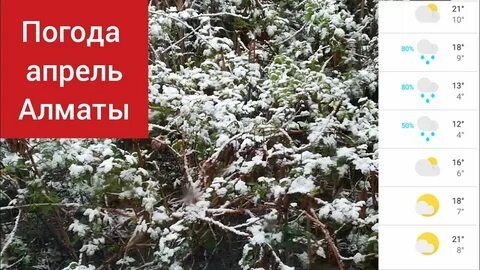 Алматы погоды декабрь
