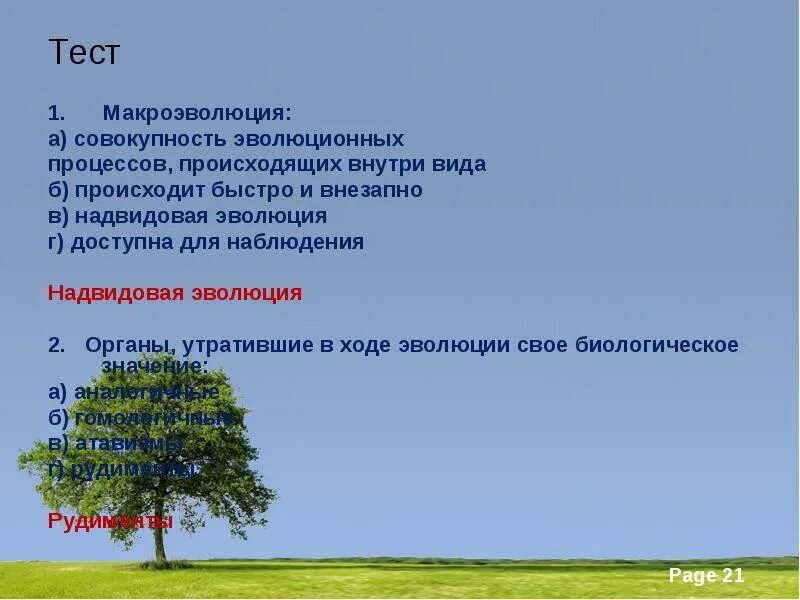 Тест по биологии макроэволюция. Надвидовая Эволюция это. Макроэволюция как процесс появления надвидовых групп организмов. Тест Макроэволюция. Совокупность эволюционных процессов внутри видов.