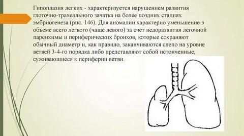 Пороки бронхолегочной системы