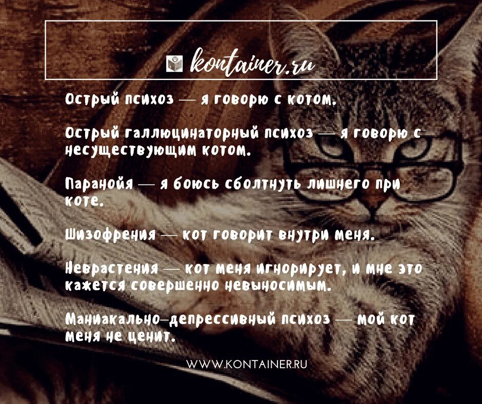 Поговори на кошачьем. Я говорю с котом. Вы разговариваете с котом. Я разговариваю с котом. Психоз я говорю с котом.