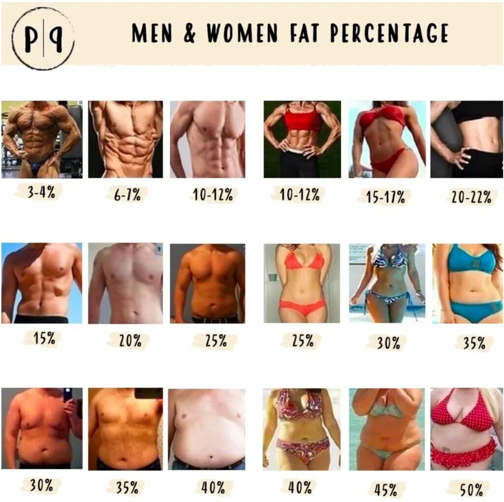 процент жира в картинках. процент жира в организме. процент жира. процент жировой ткани. сухие мышцы.