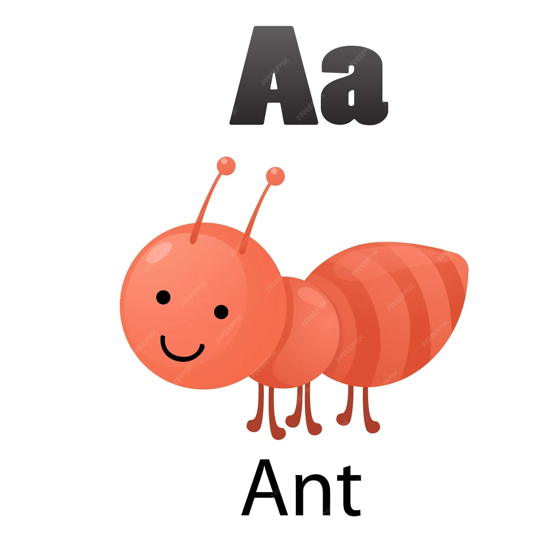 Ant как читать. Карточки по английскому муравей. карточка для английского языка муравья. буква a ant. ant карточка для детей.