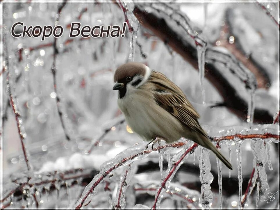 Скоро утро. Скоро утро
