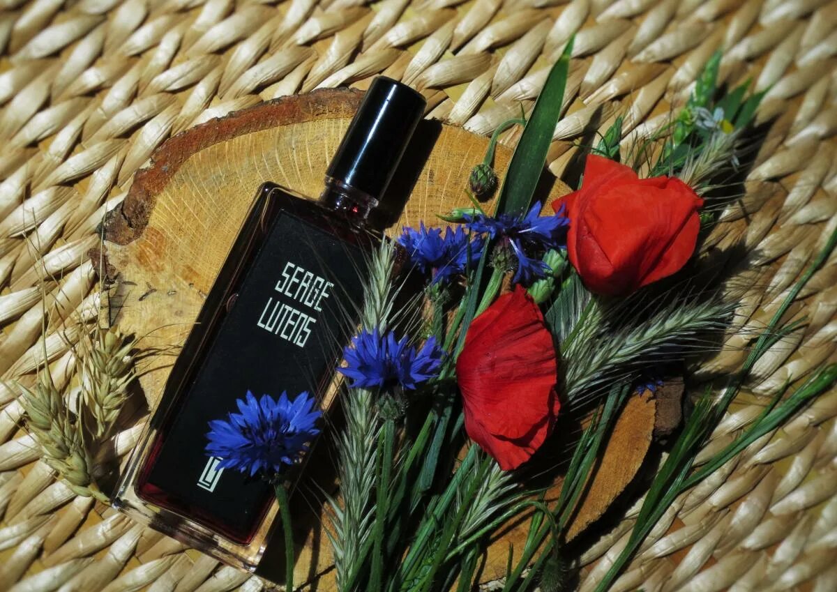 Chergui serge. Serge lutens chergui. serge lutens datura noir. серж лютен шерги. серж лютанс батэм дю фу.