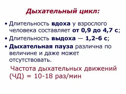 Сколько выдохов делает в минуту