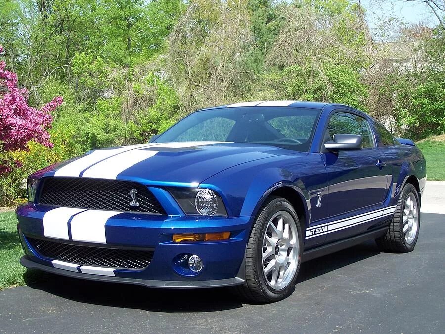 Продажа мустанг. Форд Мустанг Шелби gt 500. Форд Мустанг 2008. Ford Mustang Shelby gt500 2008. Ford Mustang gt 2008.