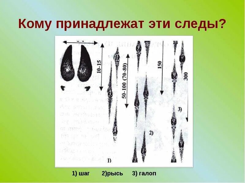 Язык это след гигантского производительного. Следы основного и дополнительного факторов выстрела. След человека запах. Язык это след гигантского производительного. Чей.