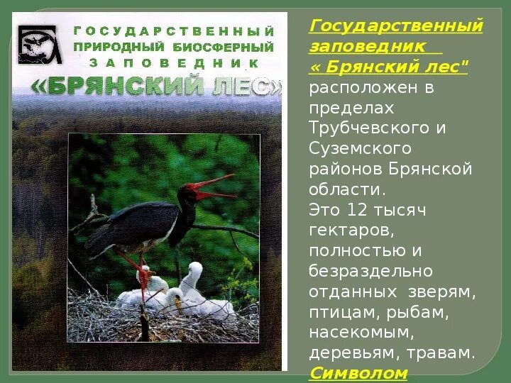 Охрана природы брянской области проект по окм Внеклассное мероприятие " Поговорим о Брянском крае"