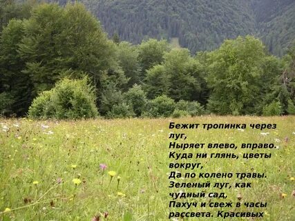 Я не пошел тропой