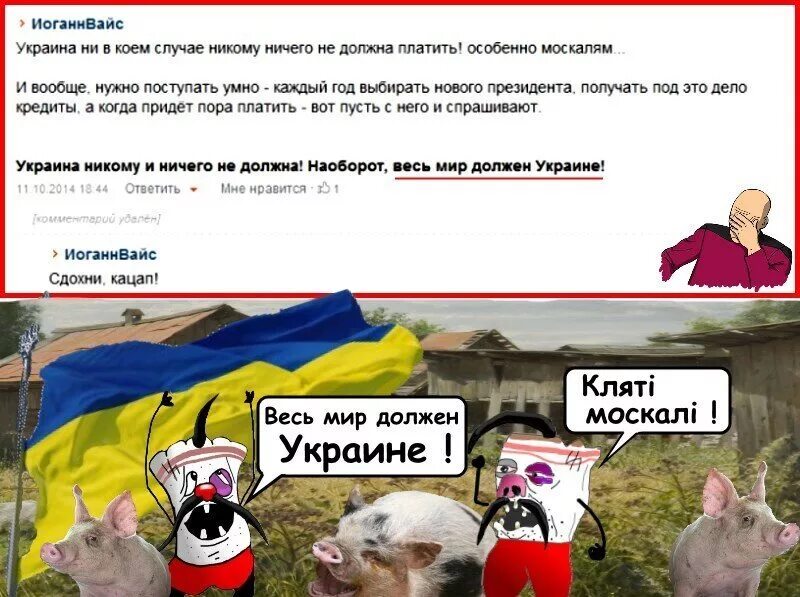 Смешные картинки про Хохлов. Анекдоты про Украину в картинках. Приколы про Хохлов в картинках. Смешные мемы про украинцев.