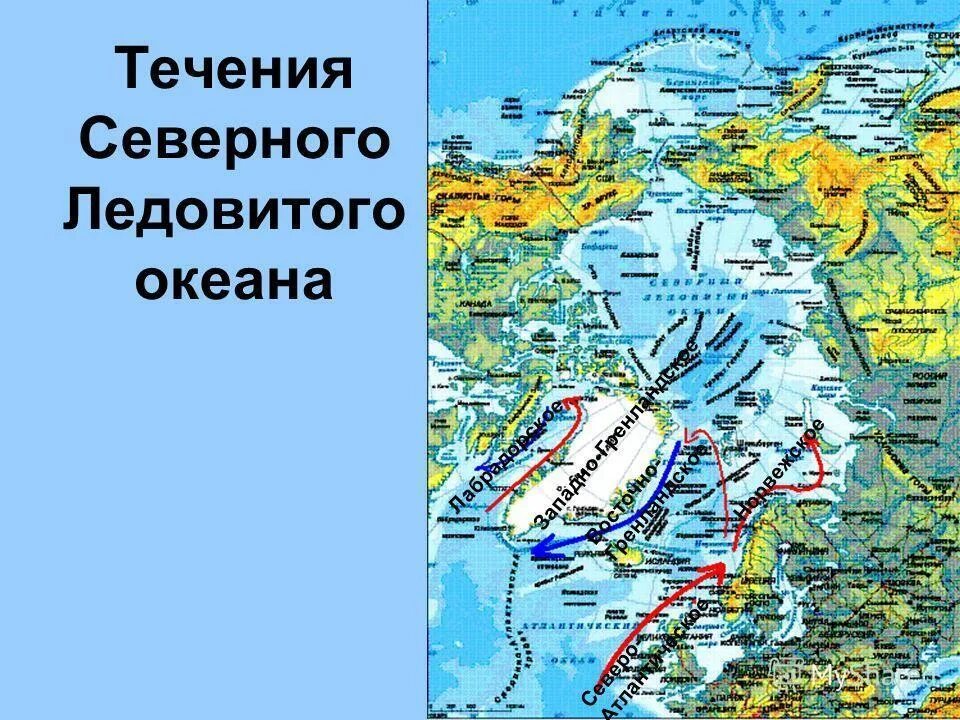 Течение Северного Ледовитого океана кратко. Течения Северного Ледовитого океана на карте. Течение Северо Ледовитого океана. Течения северно океана Северного Ледовитого.