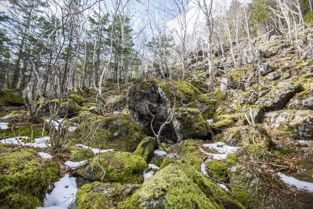 Станция метро ольховая станции. Ольховая. Озеро алексеевское гора ольховая. \озеро на горе ольховая приморский край. Гора ольховая приморский край.