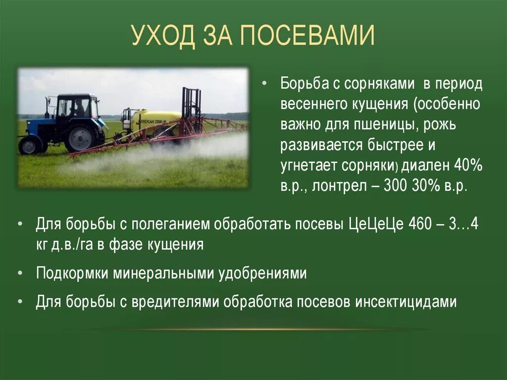 Проводить посевы