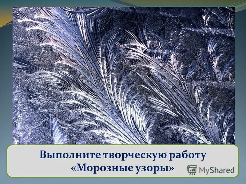 Морозные породы. Морозные узоры на окне. морозные разводы. морозные узоры живые. морозные узоры вектор силуэт.