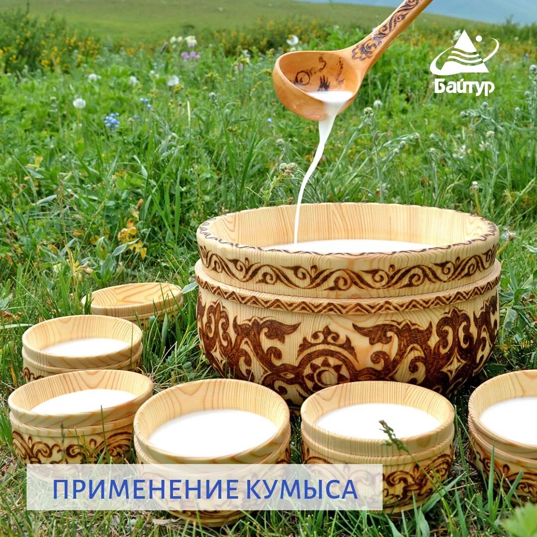 Кумыс Башкирский. Кумыс в стакане. Кумыс кымыз. Кумысолечение. Мама купила 4 л кумыса