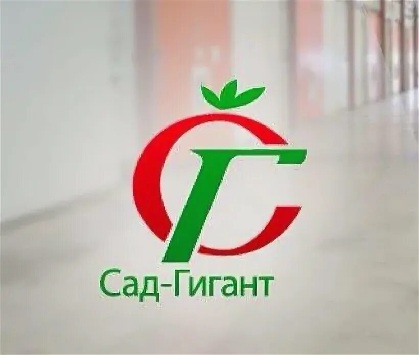 Сад гигант. Сад гигант логотип. сад гигант ингушетия логотип. сад гигант снк.