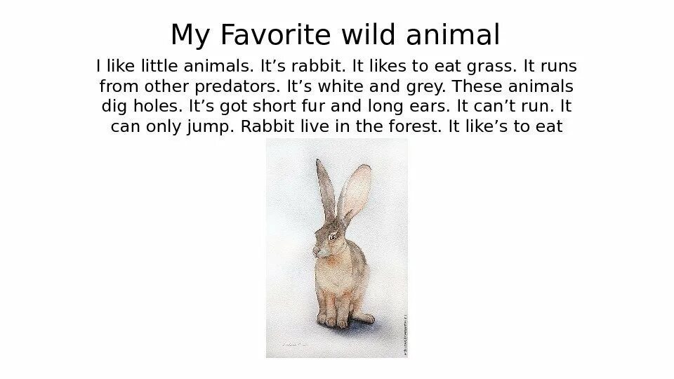 Как переводится rabbit