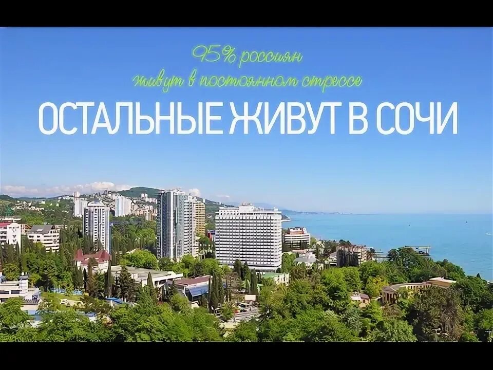 В Сочи на ПМЖ. Реальные отзывы ПриветТур.ру Дзен