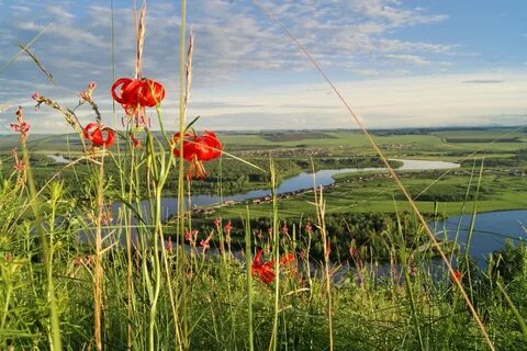 Погода на завтра ирбейское красноярский