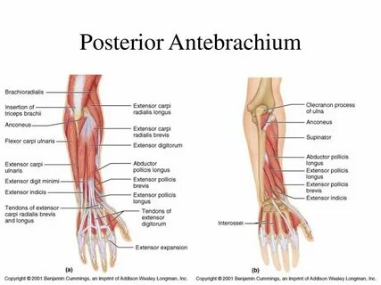 Lex posterior derogat priori