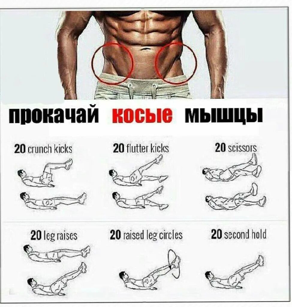 За сколько накачать мышцы
