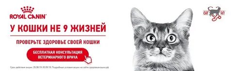 9 жизней адреса