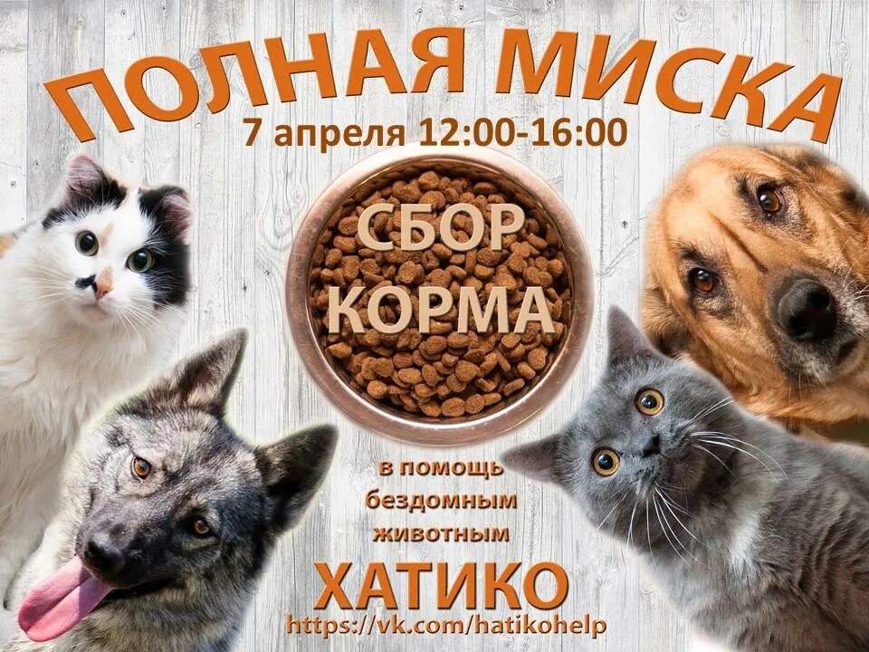 Акция по сбору корма для животных. Помощь бездомным животным. корм для бездомных животных. сбор бездомным животным. сбор на корм для бездомных животных.