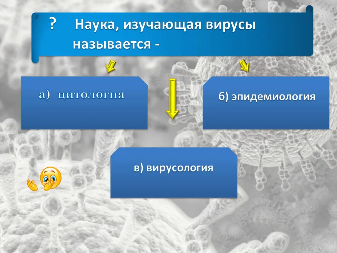 Наука изучающая вирусы. Синтез вирусного белка. Синтез белков вируса. Наука изучающая вирусы называется. Синтез вирусного белка осуществляется на рибосомах.