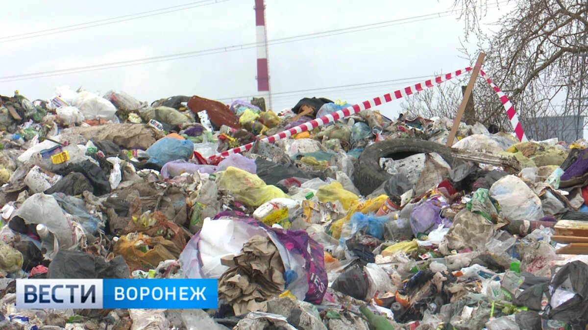 Нашли младенца на свалке. Куклы на свалке Тобольске. Городская свалка города Евпатории бомжи. Куклы на городских свалках.