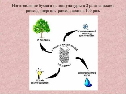 Каким способом можно получить картон из древесины