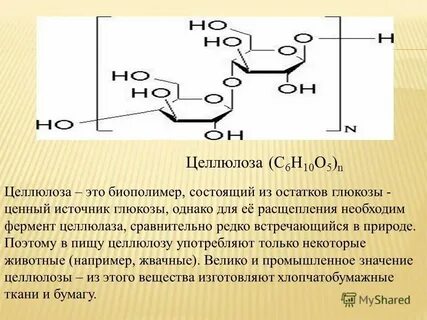 Способны расщеплять целлюлозу