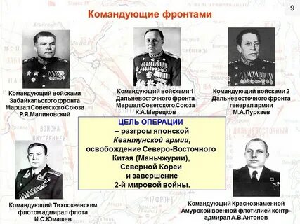 Командующий советским южным фронтом