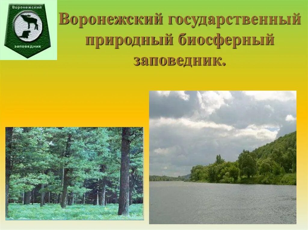 Воронежский биосферный заповедник на карте Воронежской области. Воронежский государственный заповедник на карте. Государственный природный биосферный заповедник. Воронежский биосферный заповедник. Биосферный заповедник примеры