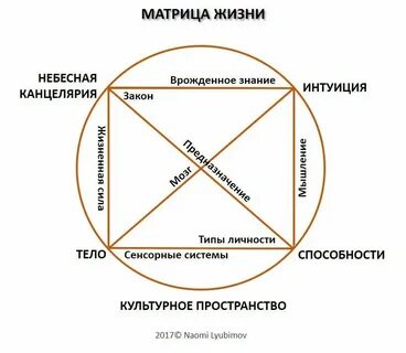 Матрица что это простыми словами в жизни