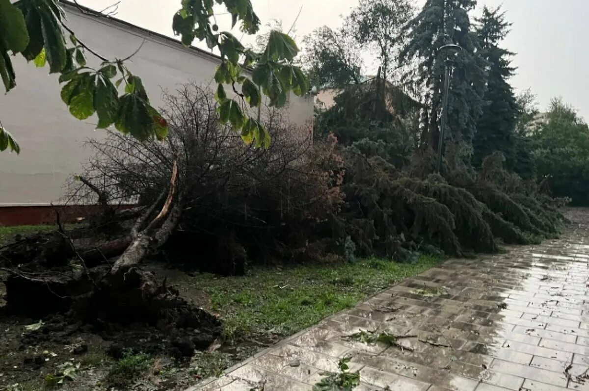 Погода в прося. Подтопление деревьев и кустарников. Ливень в Белгороде 2023. Град.