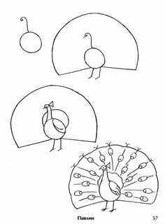 Как нарисовать павлина детям