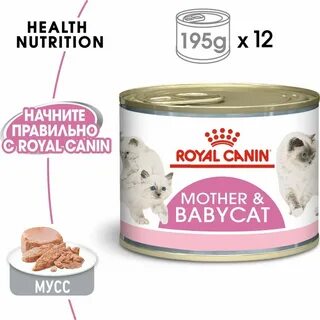 Mother babycat