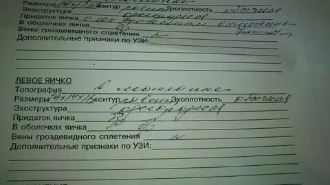 Грыжа узи заключение