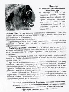 Бешенство горло