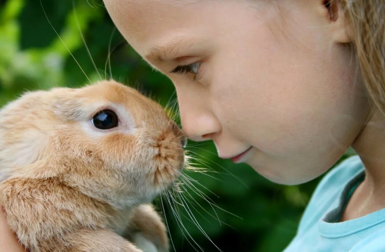 I a pet rabbit. Кролик для детей. Крольчата для детей. Фотосессия с кроликом.