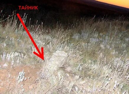 Что такое тайник