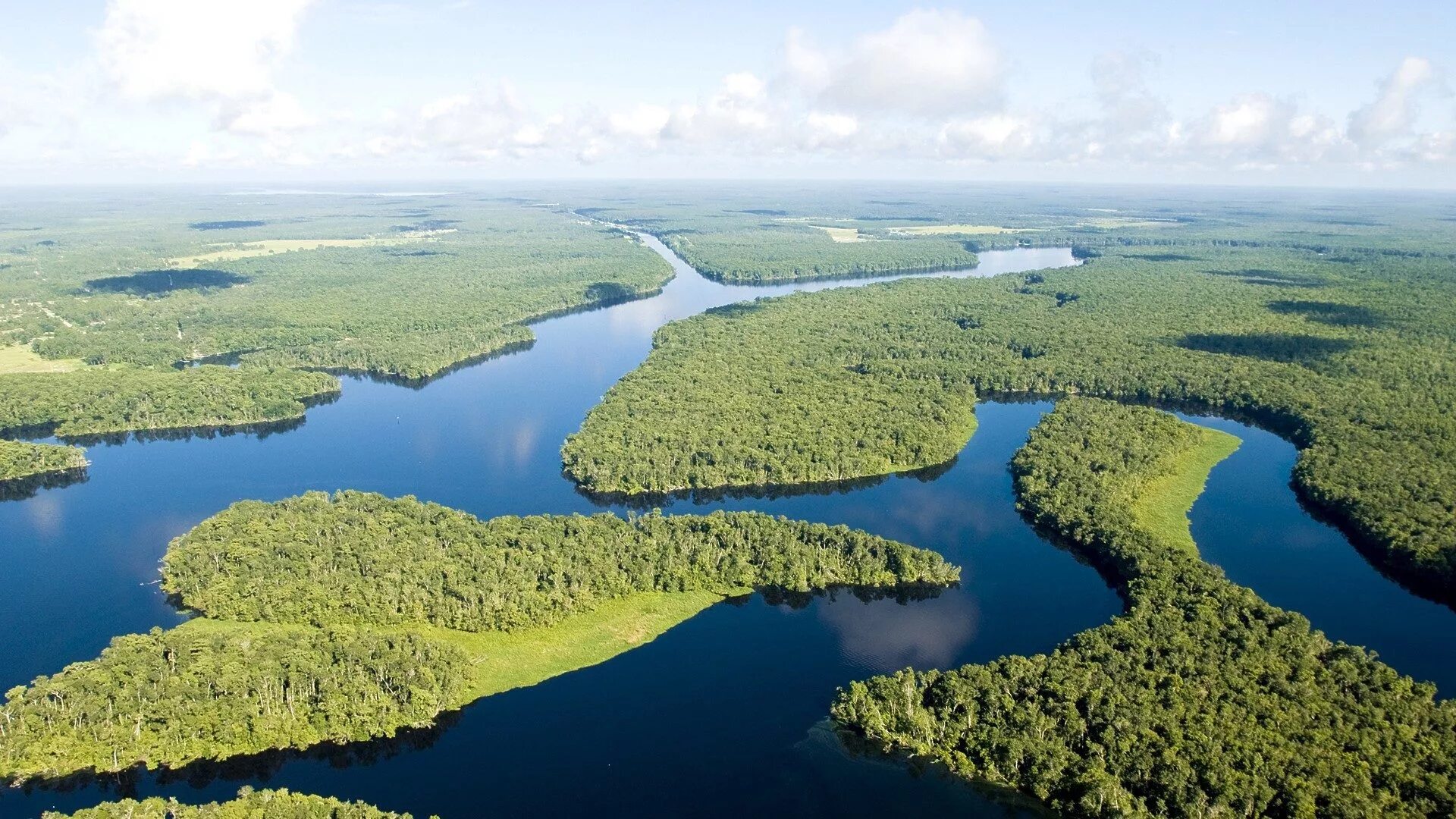 Водная система озер. Исток реки Амазонка. Эстуарий реки Амазонка. Амазонская низменность. Дельта амазонки.