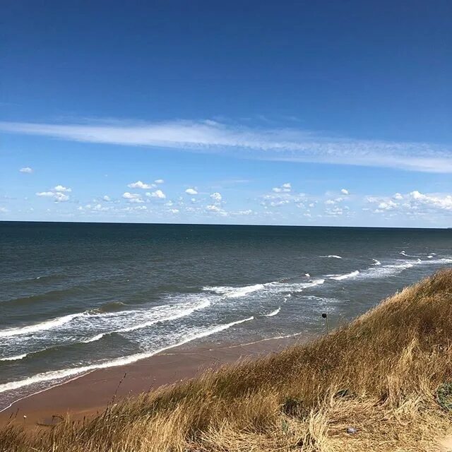 погода в кучугурах краснодарский край на 10