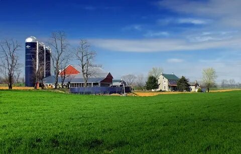 Lot farm