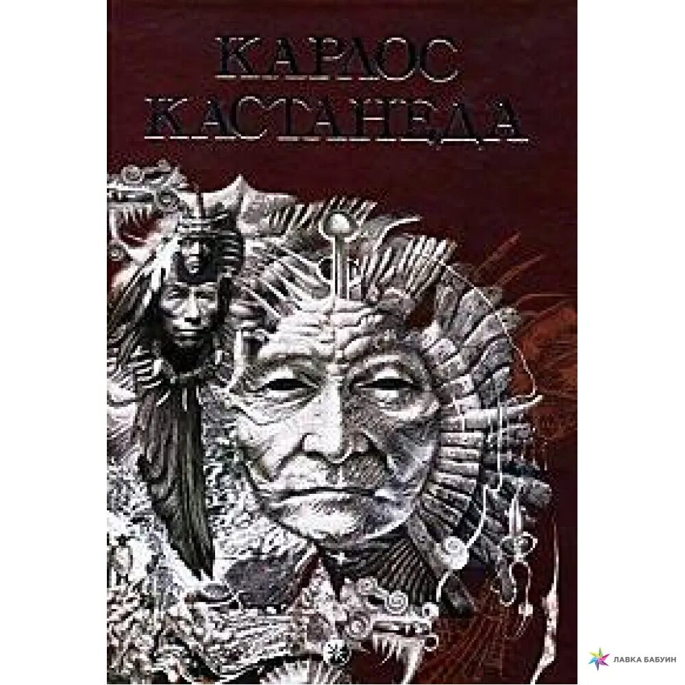 Карлос Кастанеда сила безмолвия. Кастанеда искусство сновидения. Сила безмолвия Карлос Кастанеда книга.