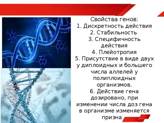 Свойства ген кода. Свойства генов. Свойства Гена. Свойства генов дискретность. Свойства Гена кратко.