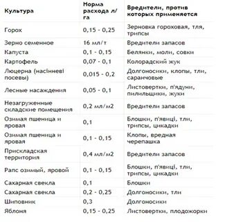 Эйфория на 10 литров