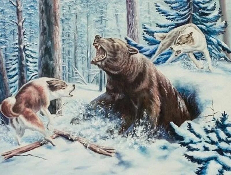 Русский медведь и волк. Охота на медведя картина. Охота на медведя в живописи. Картины с изображением медведей.