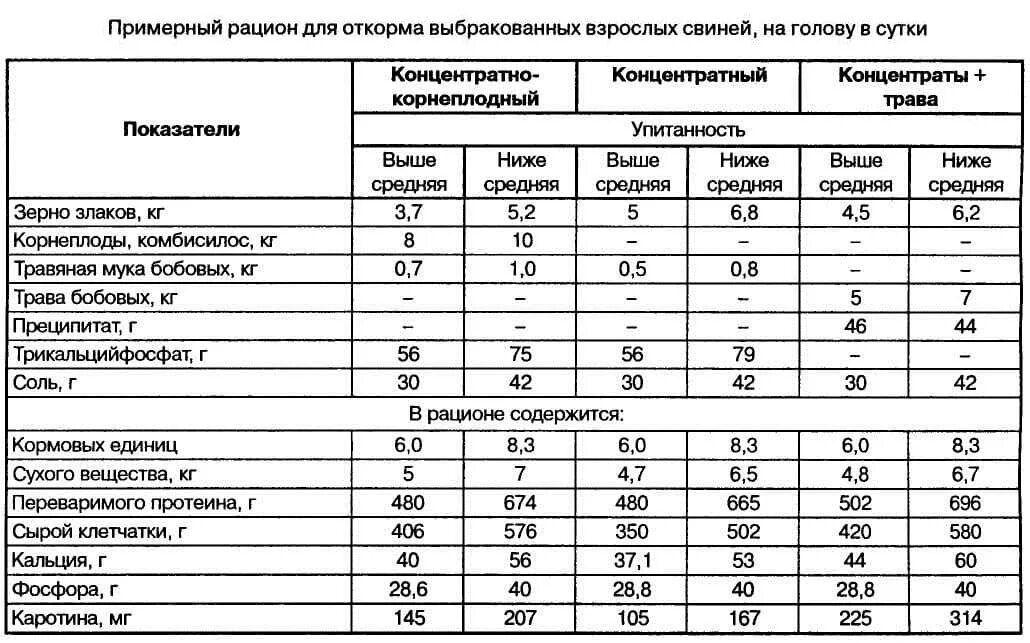 Комбикорм для свиней: состав, рецепты для приготовления